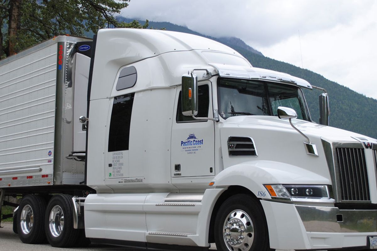 How LTL Shipping Saves Calgary SMBs Money